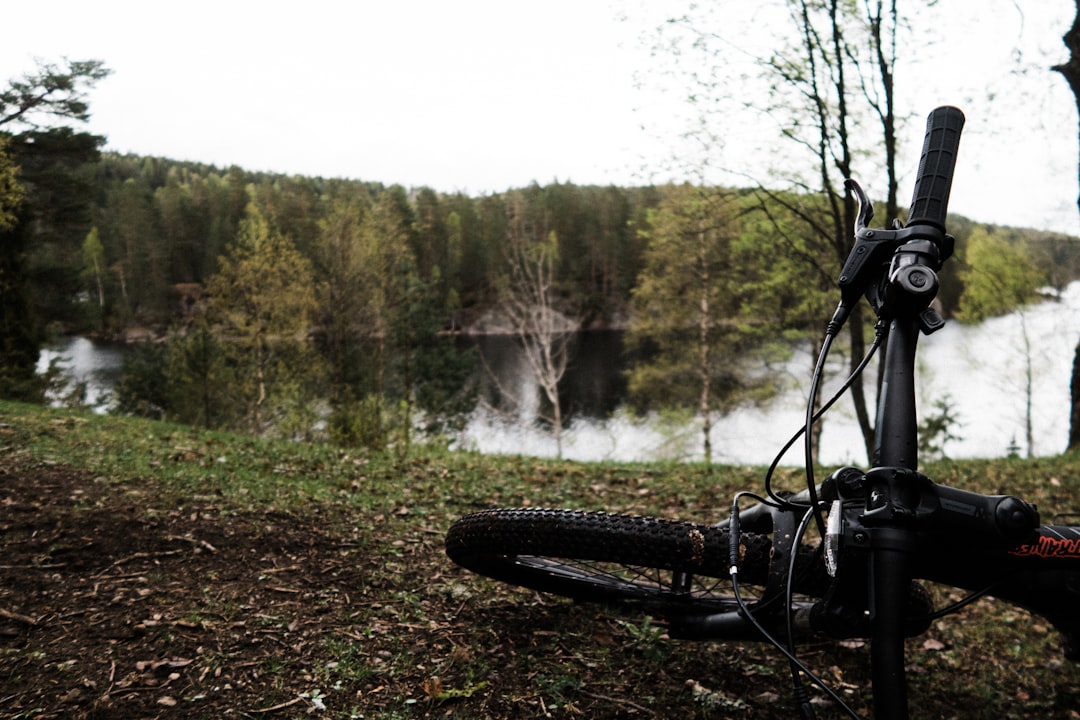 mountain-bike-lying-on-ground-near-lake-nhft-7mtpse